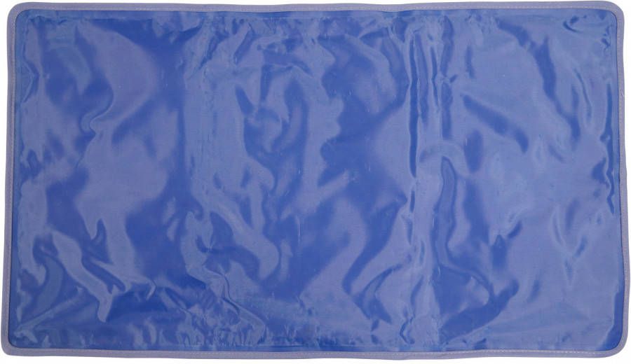 Aidapt Gelmat Voor Kussen Werkt Verkoelend 51x33, 5cm