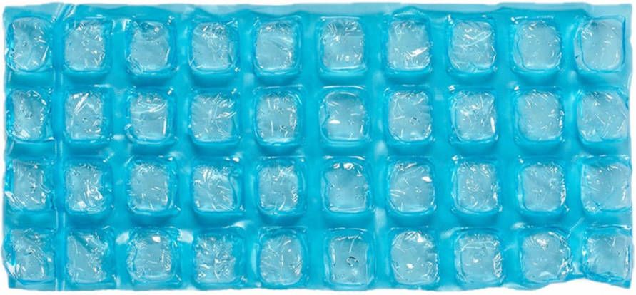 Arte r Herbruikbare Flexibele Koelelementen Icepack 13 X 9 X 20 Cm Koelelementen