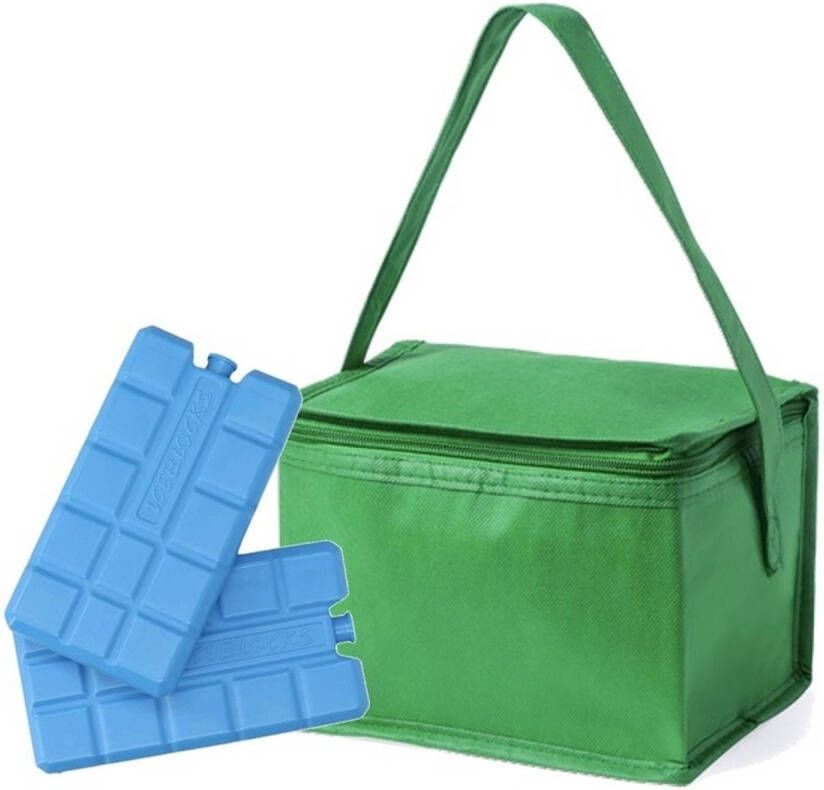 Merkloos Kleine Koeltas Groen Voor 6 Blikjes Inclusief 2 Koelelementen Koeltas