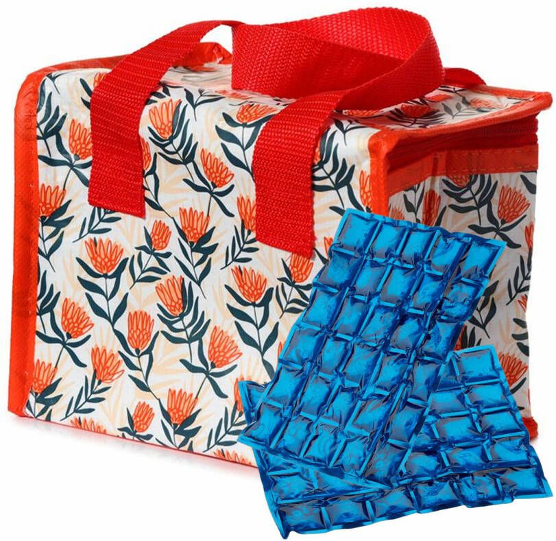Puckator Kleine Lunch Koeltas Met 2x Flexibel Koelelement Bloem Print 4, 4 Liter Koeltas
