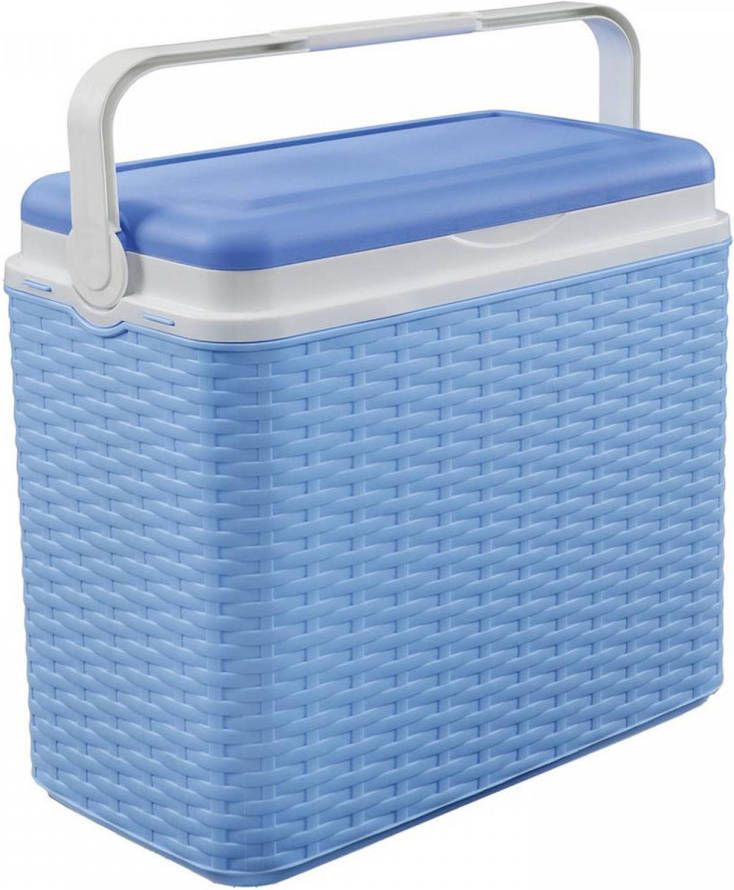 Shoppartners Koelbox Blauw Rotan 24 Liter 40 X 24 X 38 Cm Koelboxen
