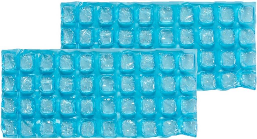 Shoppartners Set Van 2x Stuks Herbruikbare Flexibele Koelelementen/icepacks 13 X 9 X 20 Cm Koelelementen