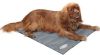 Scruffs & Tramps Honden koelmat grijs 2717 online kopen
