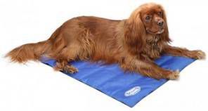 Scruffs Cooling Mat Blauw M