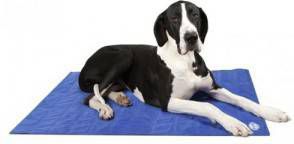 Scruffs Cooling Mat Blauw XL