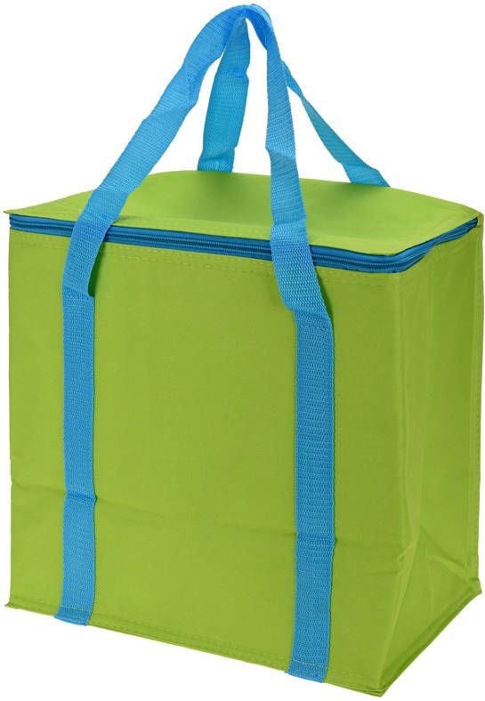Koeltas met koel element groen
