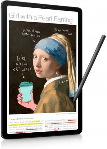 Samsung Galaxy Tab S6 Lite(2022)WiFi + 4G 128GB Tablet Grijs
